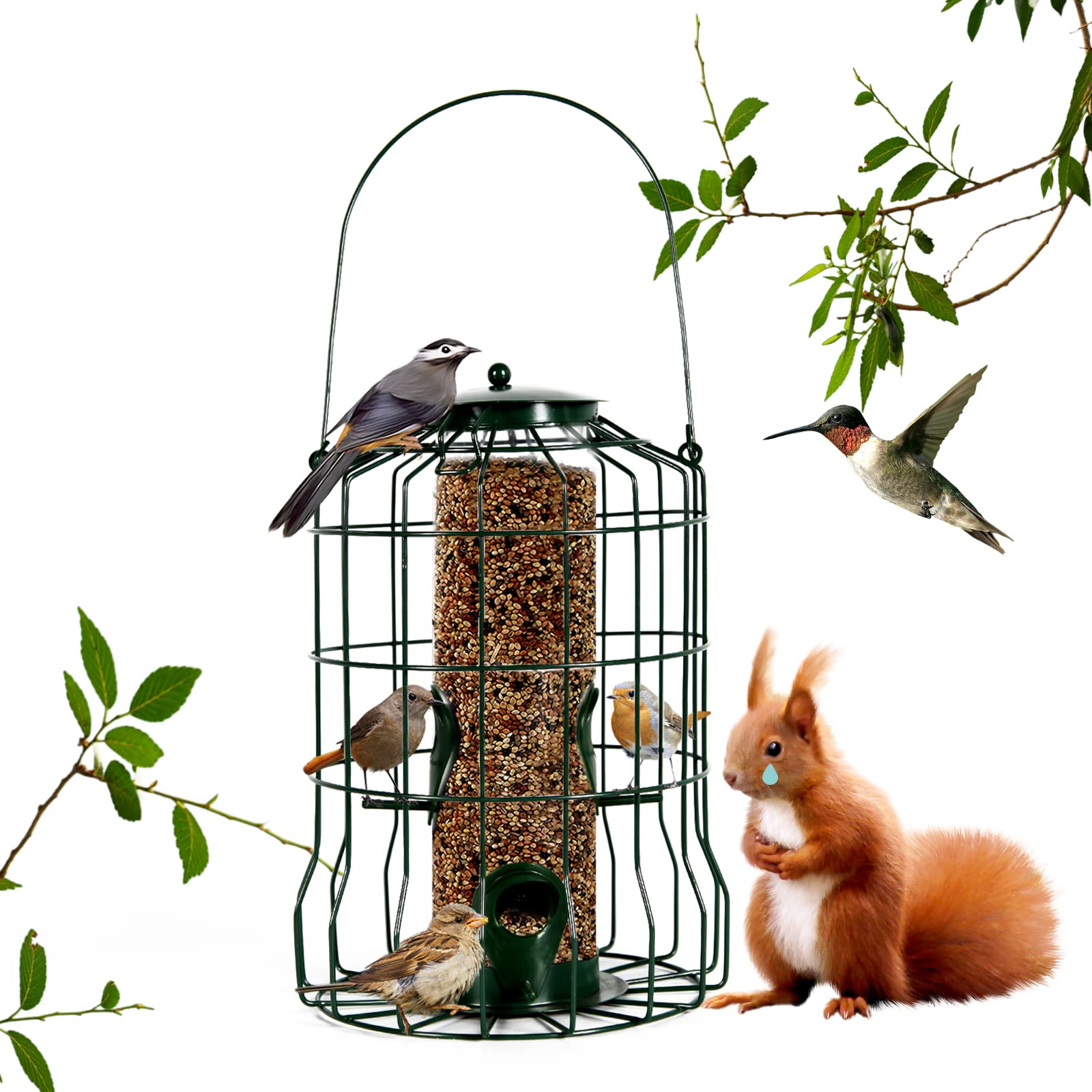 Stokes Caged Bird Feeder At Paul Caison Blog Stokes Caged Bird Feeder At Paul Caison Blog