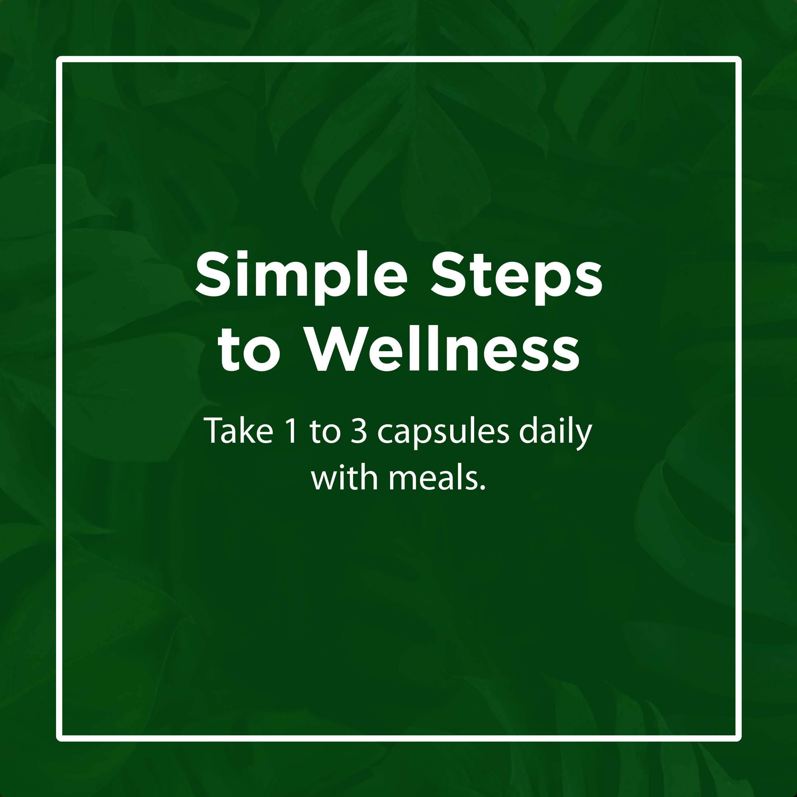 Flora FloraSil 180 Veg Capsules - Silica Supplement with Horsetail Extract for Healthy Hair, Skin, and Nails* - Supports Collagen Formation