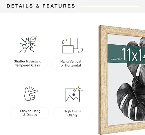 Miniatura 6 de MCS Industries Studio Gallery - Marcos con textura de madera natural de 11 x 14 pulgadas  27.94 x 35.56 cm., 2 unidades