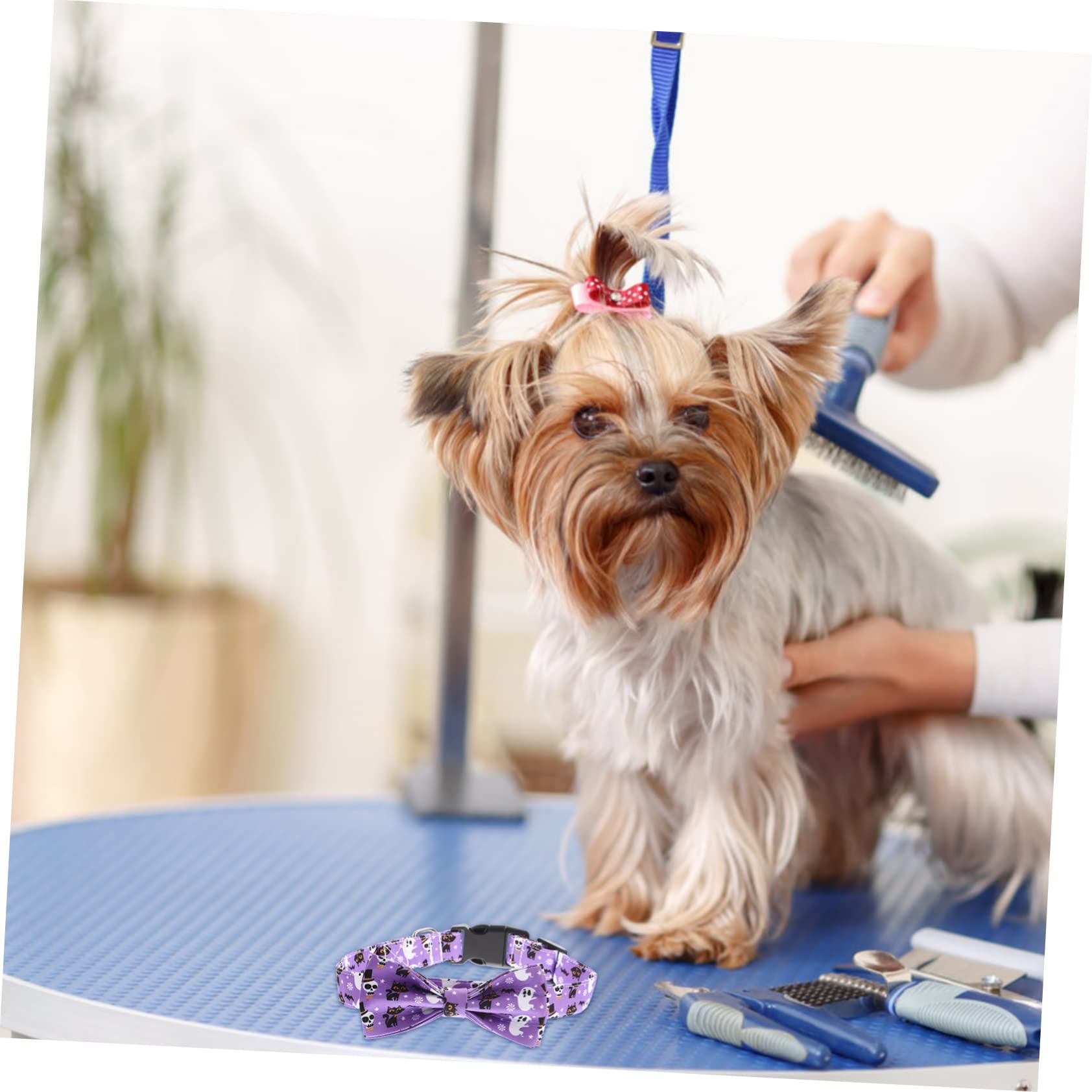 HANABASS 3stücke Dekorativer Halloween Katzenhalsband Mit Abnehmbarem Schleifen-Design Leicht Verstellbar Für Haustierpartys Und Festliche Anlässe