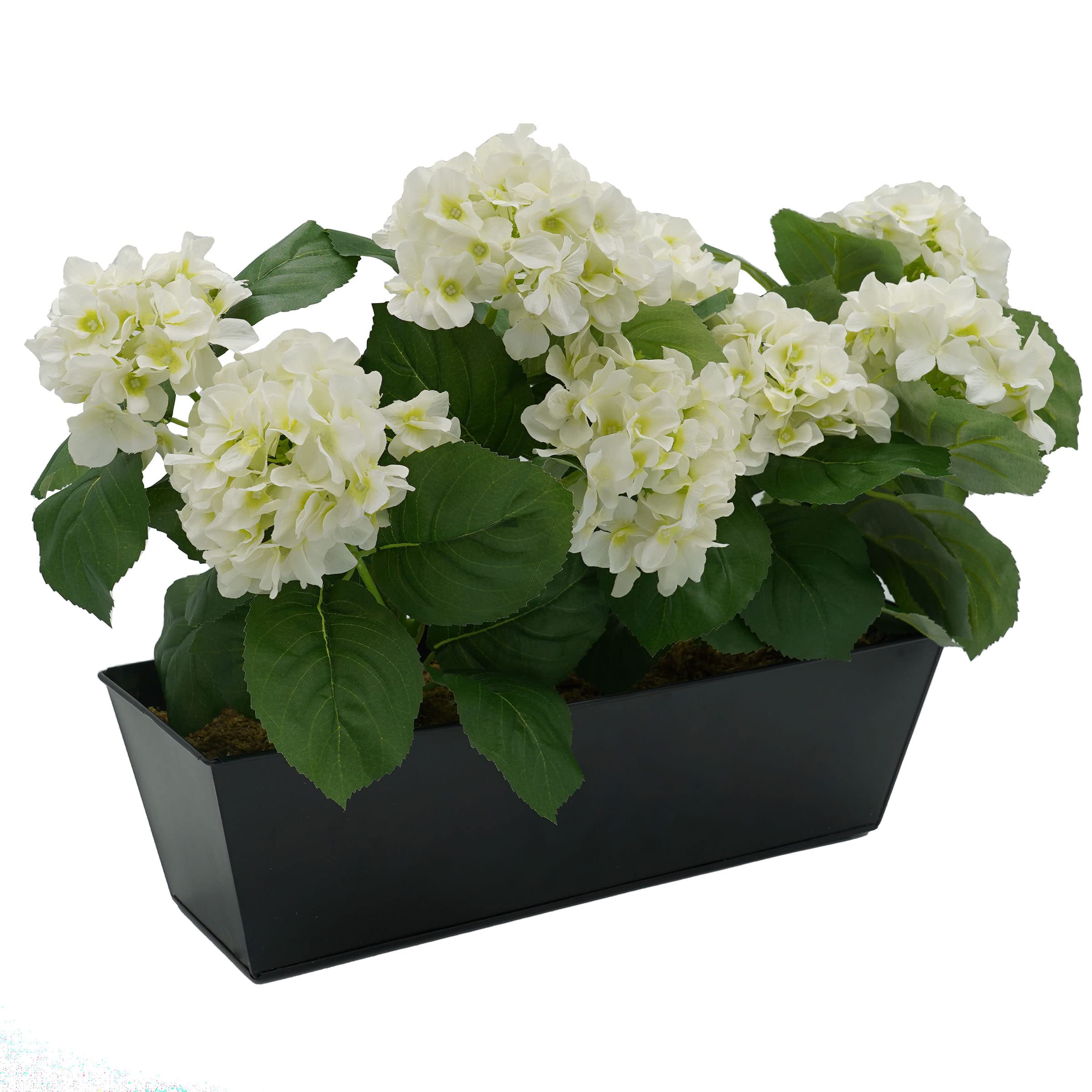 GreenBrokers Artificial White Hydrangea Flower Bush in Black Tin Window Box (45cm) with Nine Flower Clusters for Home or Outdoor Living
