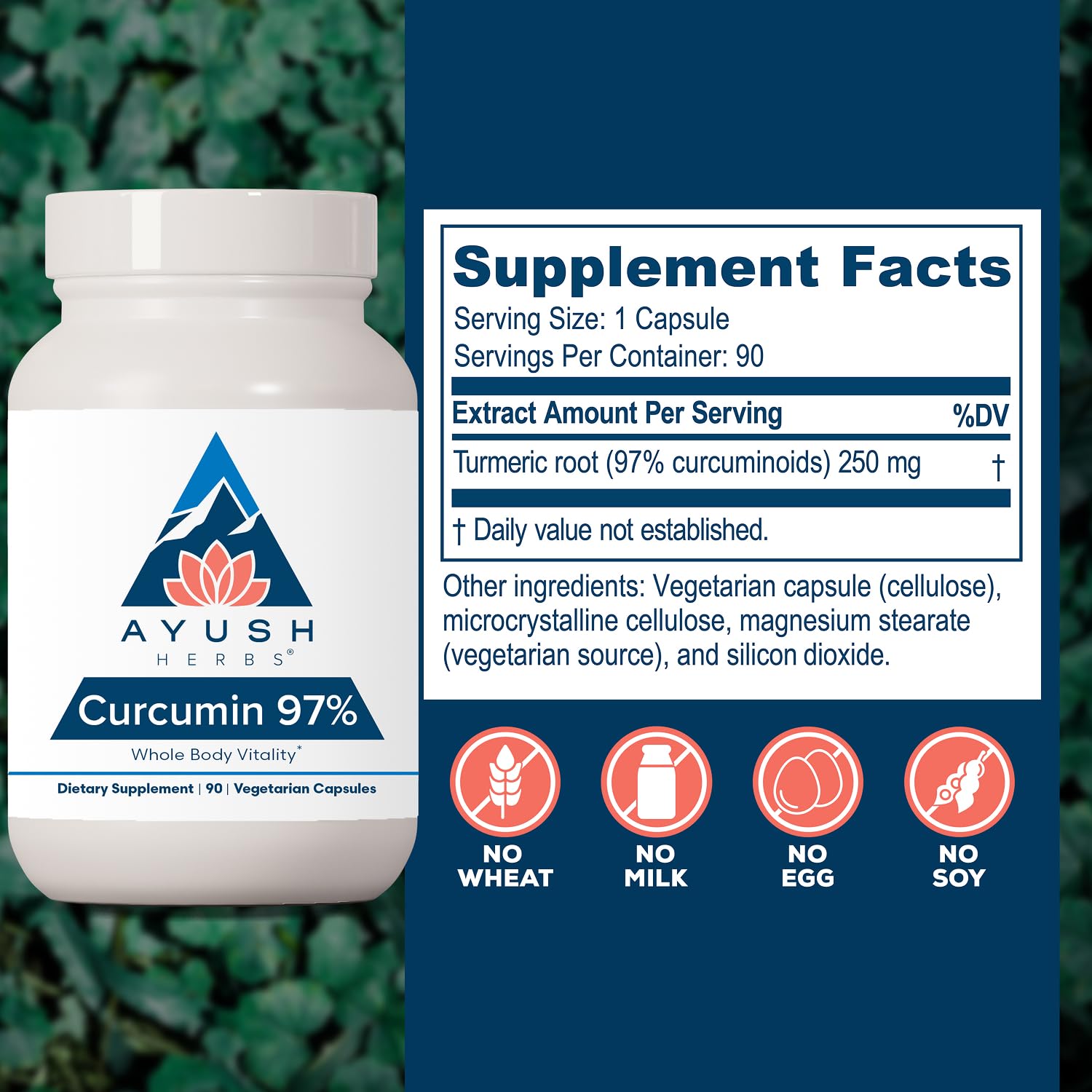 Ayush Herbs Curcumin 97%, Curcumin Supplements, Adults, 90 Servings — Amazon image 3