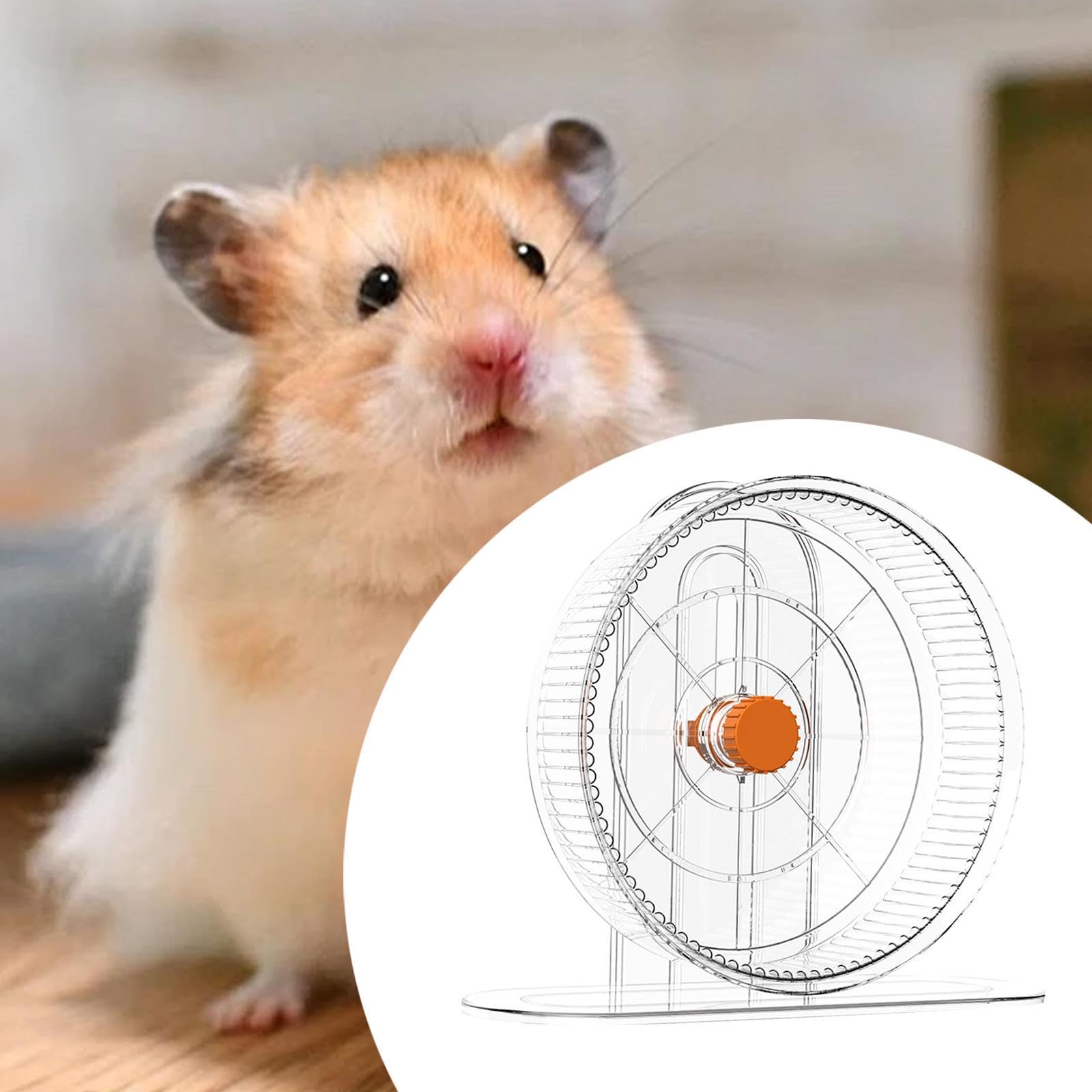 THE Style Sutra® Pet Hamster Jogging Toy Quiet Hamster Exercise Wheel for Rat Squirrel Gerbil Wheel diameter21cm | Exercise & Toys gallery image