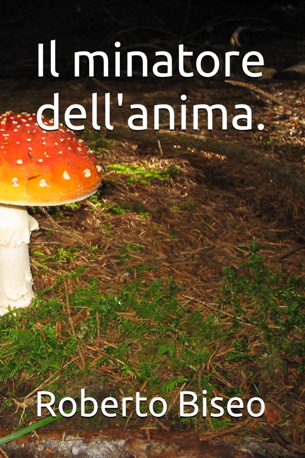 Il minatore dell'anima.