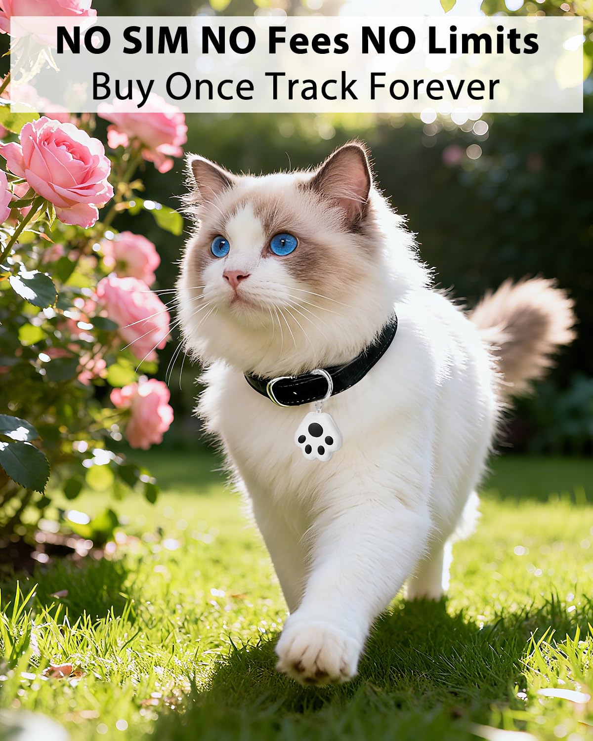 【Haustier GPS Tracker für Hund und Katze】Hunde und Katzen Kleine Tracking Tag für Google und iOS ohne Abonnement Keine Gebühr - Smart Pets Tracker Wasserdicht Staubdicht Extra Lange