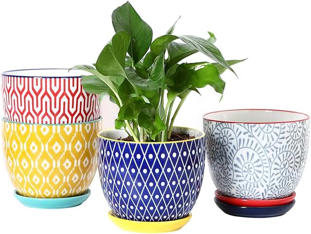 Selamica Ceramic Plant Pots, 5.6 Inch Flower Pots for Indoor Plants, Pla...