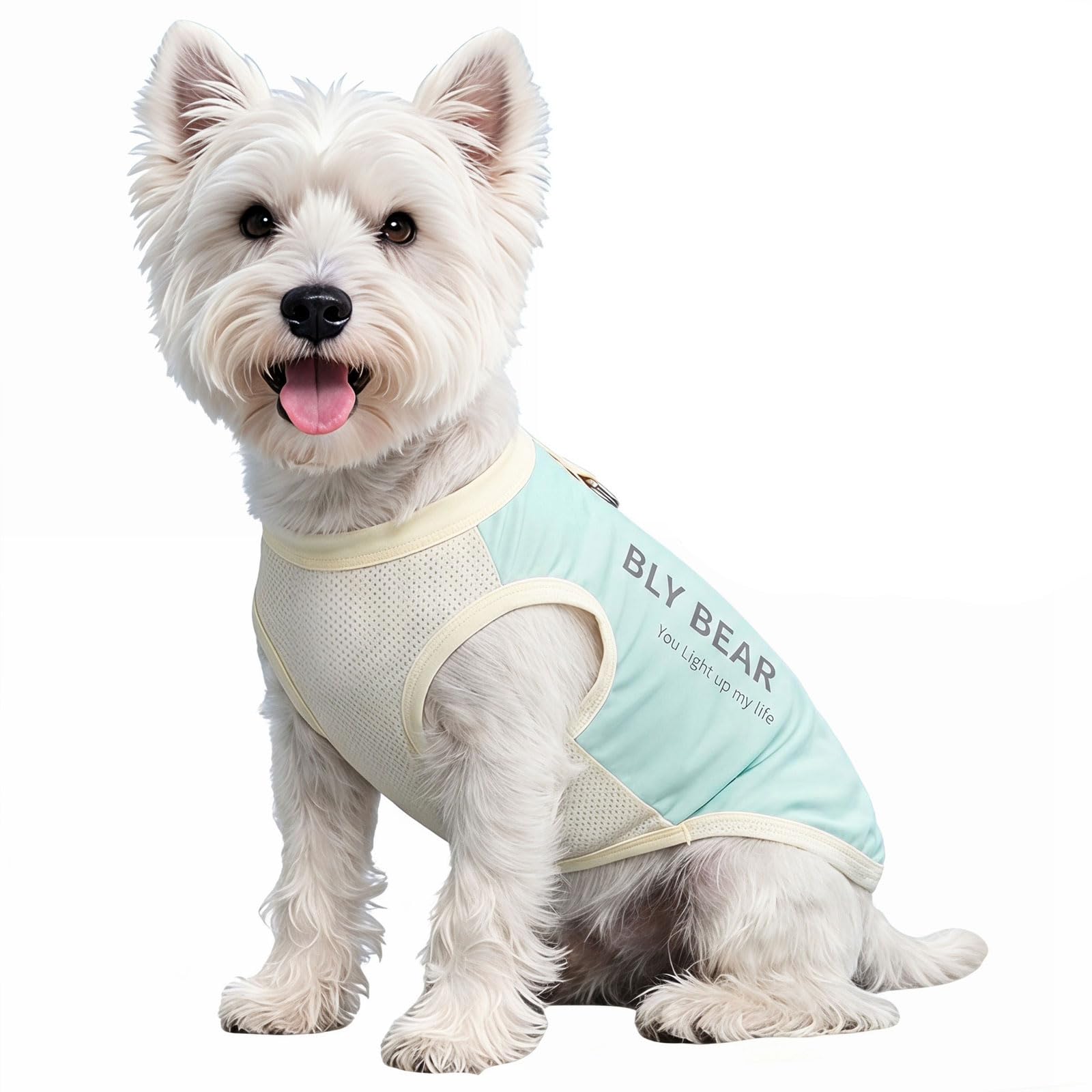 Anlitent Dog Cooling Vest Sunscreen, UPF 50+ Sun Protection Top Tank, Quick-Dry Breathable T Shirt for Small Dogs, Outdoor Dirt-Resistant Shedding Control Pet Apparel Green, M 10lbs (2.5-4kg)