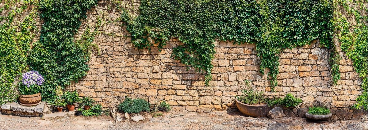 Sabrikas Let Your Creative Spirit Run Free Earthy Tones With Greens And Purples Rustic Ivy Stone Wall Garden Mural, Tapestry & Curtain – Waterproof Outdoor Wall Hanging, Walled Garden Backdrop & Cottage Fence Décor W500cm X H180cm, W196.85 Inches X H70.87 Inches