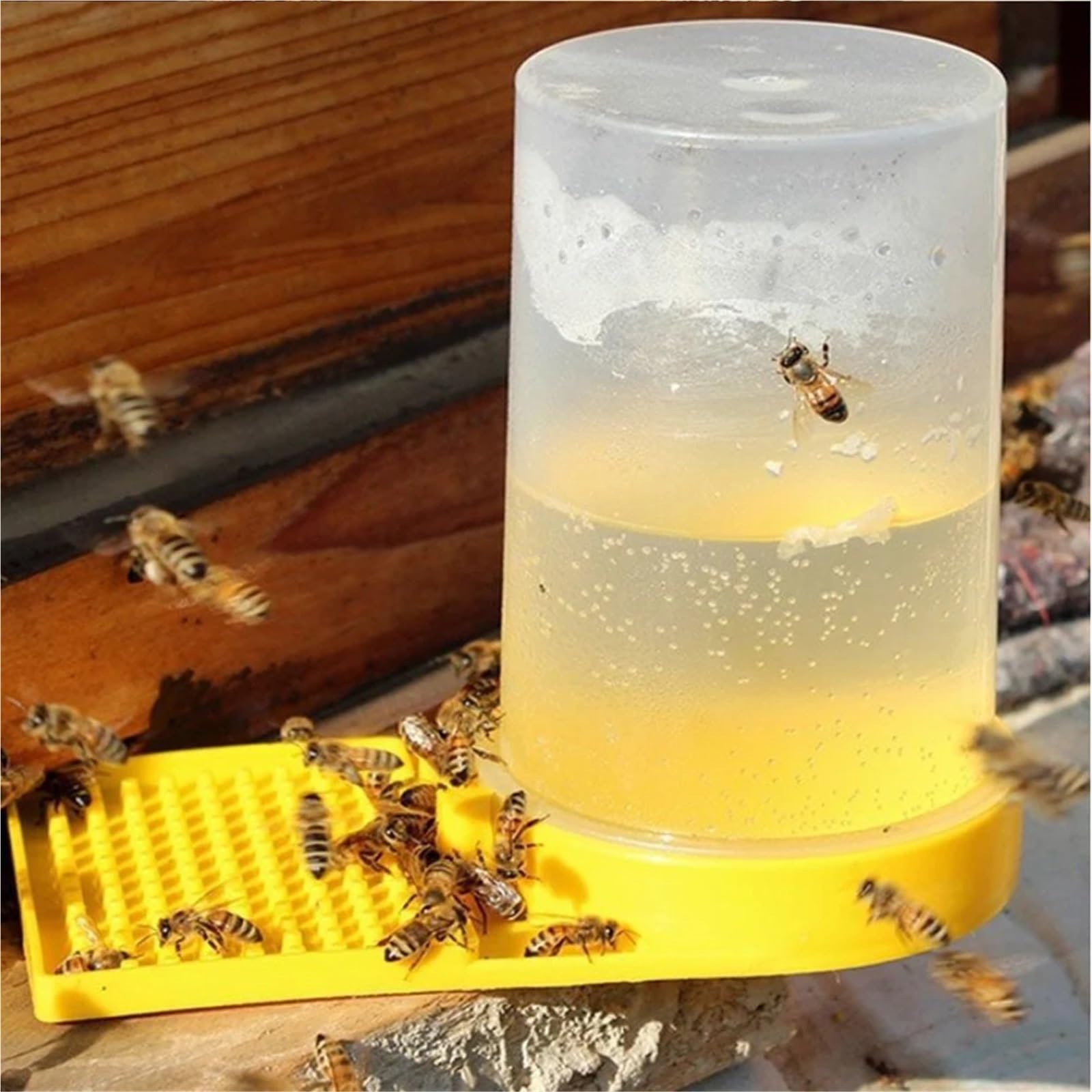 20 szt. Plastikowe drzwiczki do karmienia pszczół, gniazdo dla pszczół, karmnik, pojemnik na wodę pitną, bezpieczne i lekkie artykuły dla pszczelarzy Narzędzie pasieczne