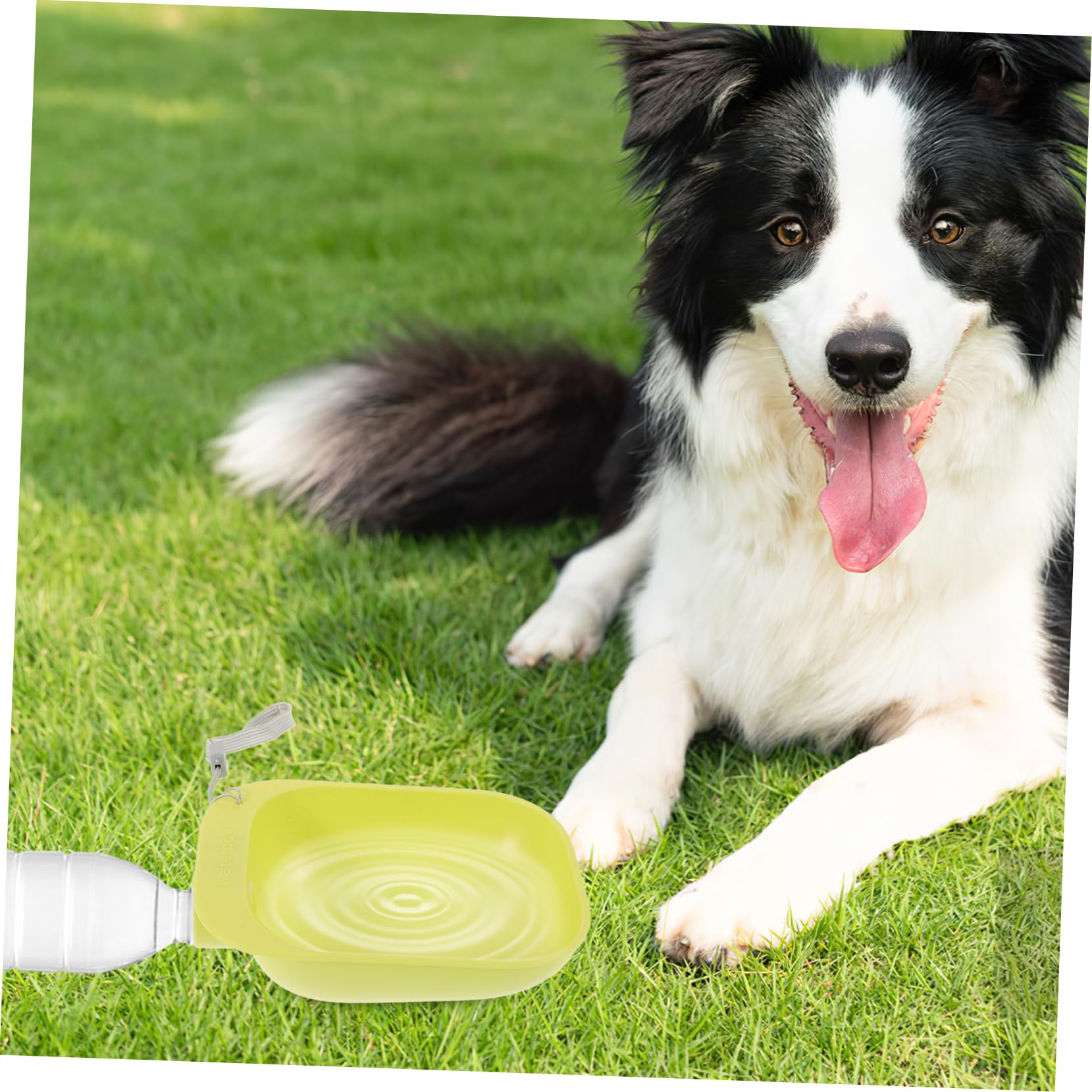 Abaodam Portable Dog Water Bottle Outdoor Pet Water Bowl Attachment for Hiking Durable Space Saving Dog Bowl Feeder Easy to Install with Standard Water Bottles