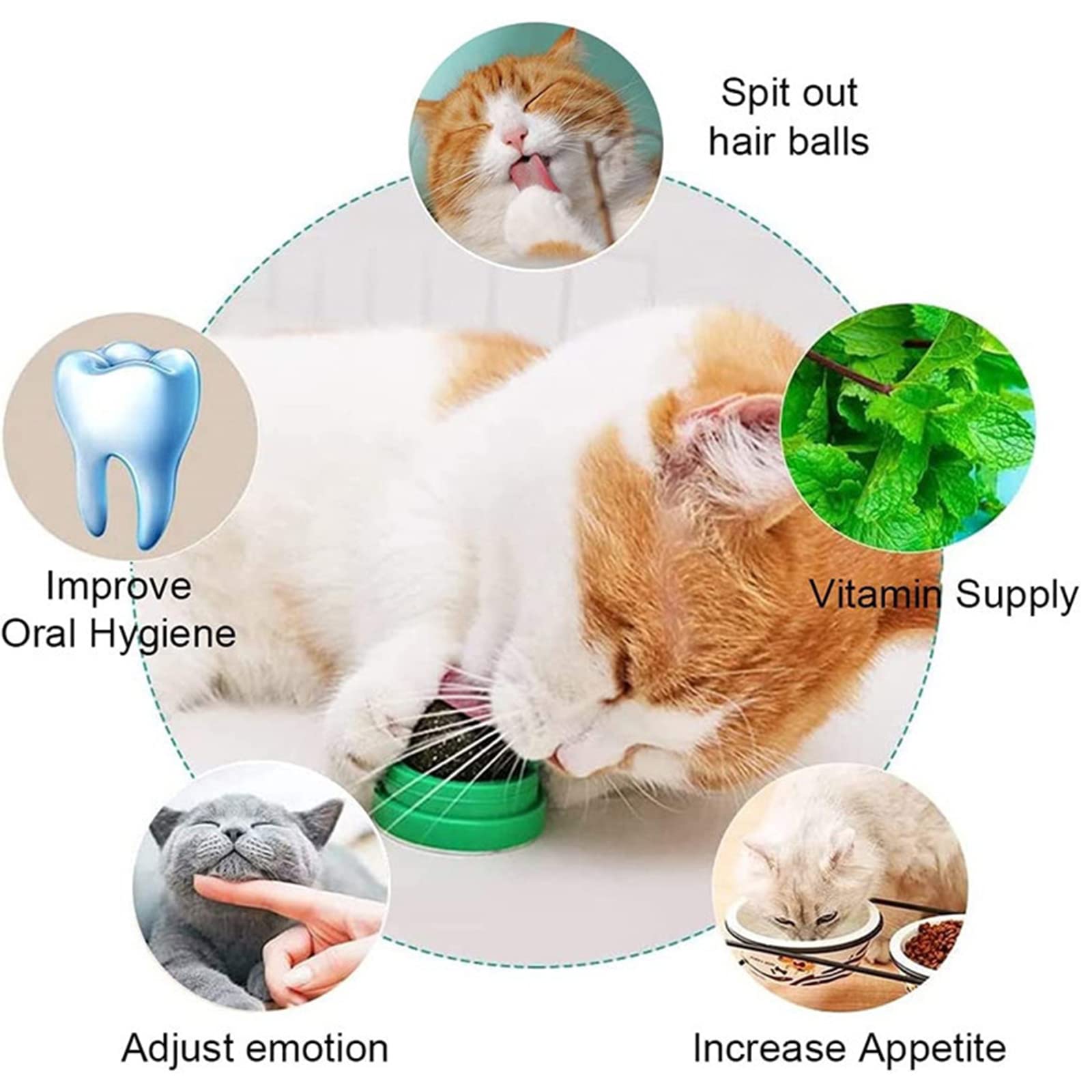 Gatto Con Gli Stivali Palla Di Pelo Erba Gatta Per Gatti Pronta