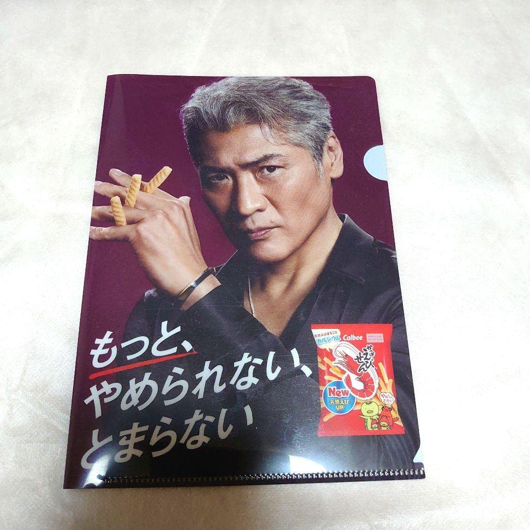 Amazon.co.jp: 吉川 晃司 グッズ かっぱえびせん クリア ファイル 