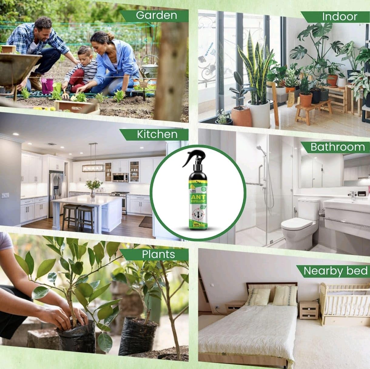 DMS HUB Herbal Ant Spray 200ml |10Minutes Result Guaranty | Removes Entire Ant colony | Powerful 100% Organic No Chemical Ant Repellent Spray for Home Kitchen Office Garden Long Lasting Protection (1)