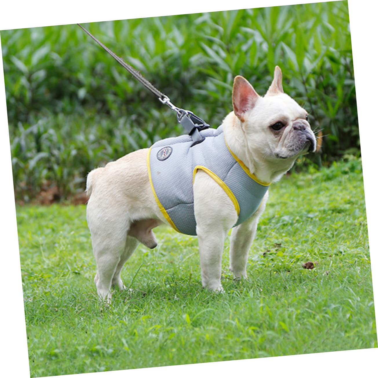 BESPORTBLE 2pezzi Gilet Rinfrescante Per Pet Cooling Traspirante Per Attività Esterne Design Per Facile Indossare e Rimuovere Xs