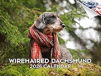 Vista 158 de Razas de Perros 2017