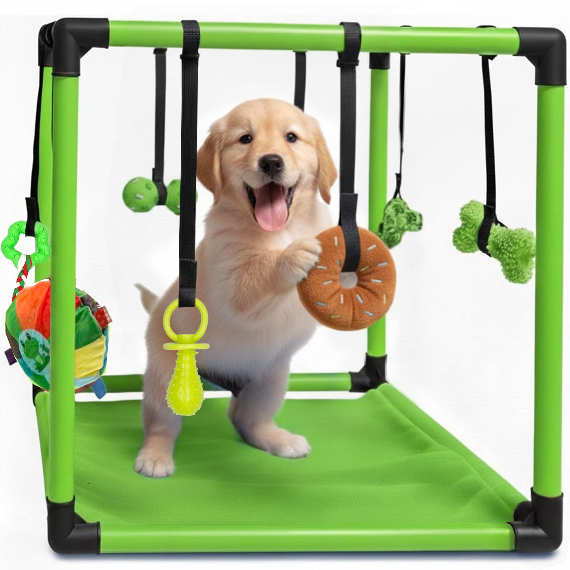 Race&Herd Puppy Play Gym, Dog Play Mat, 8 Bungee Straps Interactive Puppy Active Toys - Small Dog Jungle Gym 19.5" Frame with Playground Set Indoor Enrichment Activity Center (Lime)