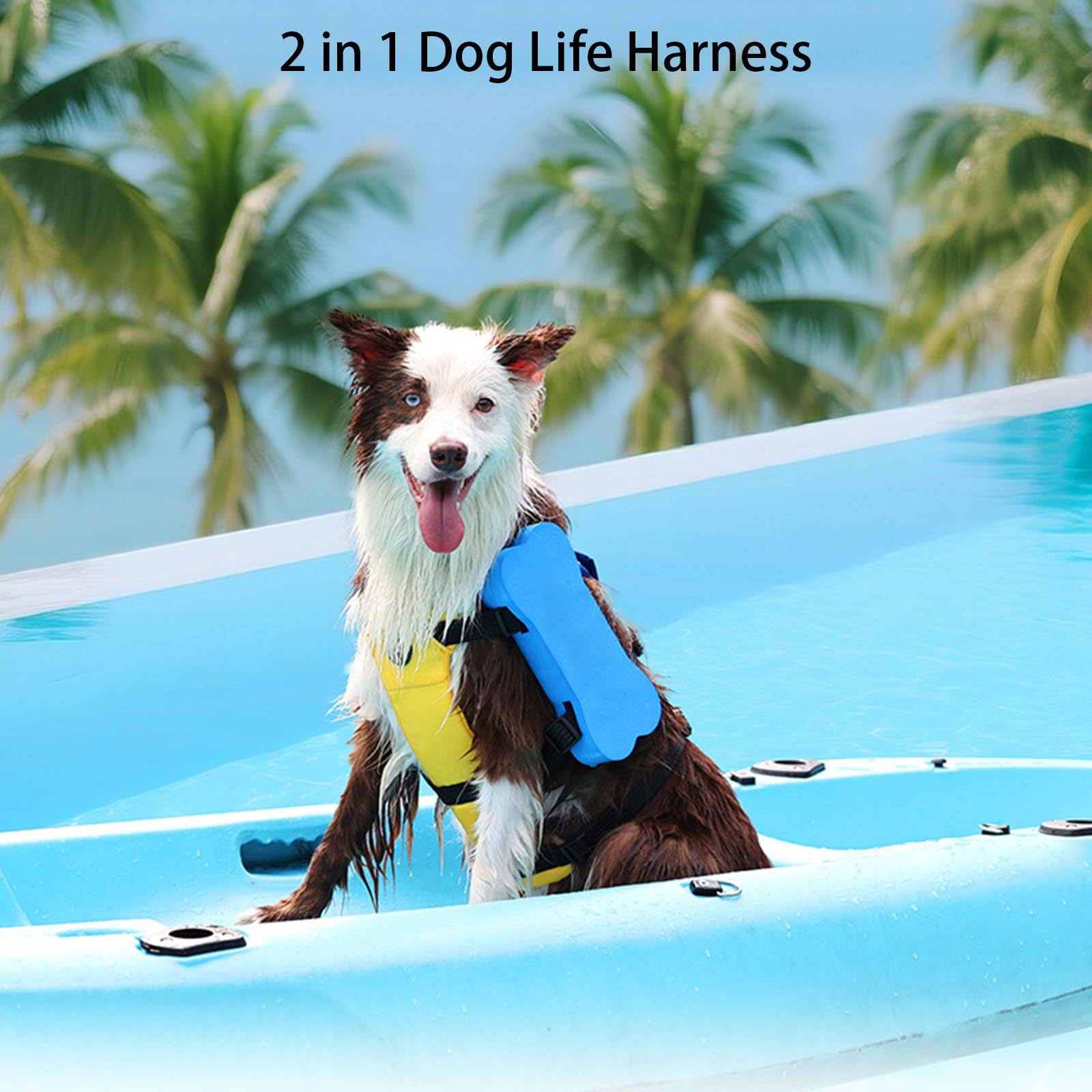 Gilet de sauvetage réglable pour chien avec haute flottabilité, dispositif de flottaison 3 tailles, poignée de sauvetage