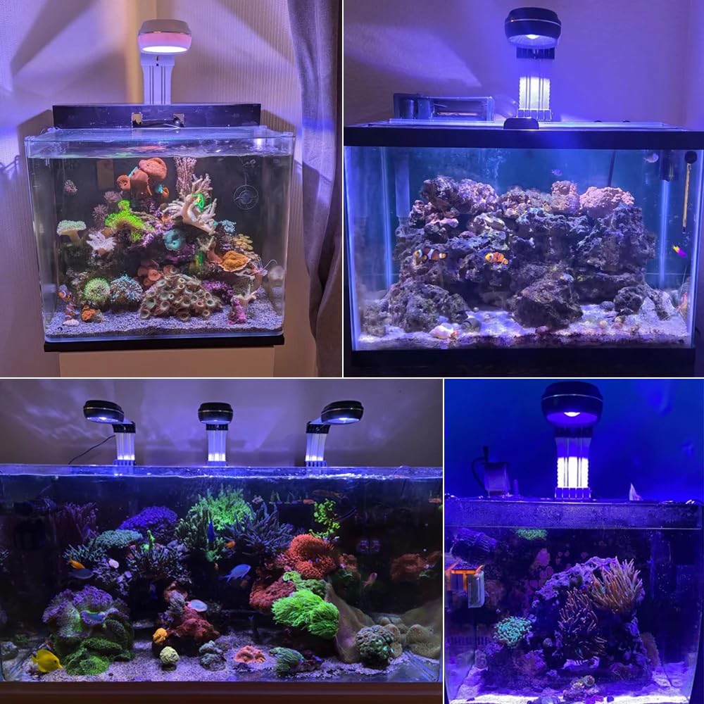 PopBloom APP-Kontrolle meerwasser aquarium led beleuchtung led lampen reef coral aquarium für 30-60cm Salzwasser Marine (60W (Schwarz))