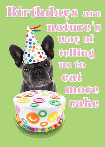 Miniatura 10 de Glory To Dog Buenas noticias You're Still Here! The Bad News In Dog Years, You'd Be Dead Tarjeta de cumpleaños divertida con sobre de correo de