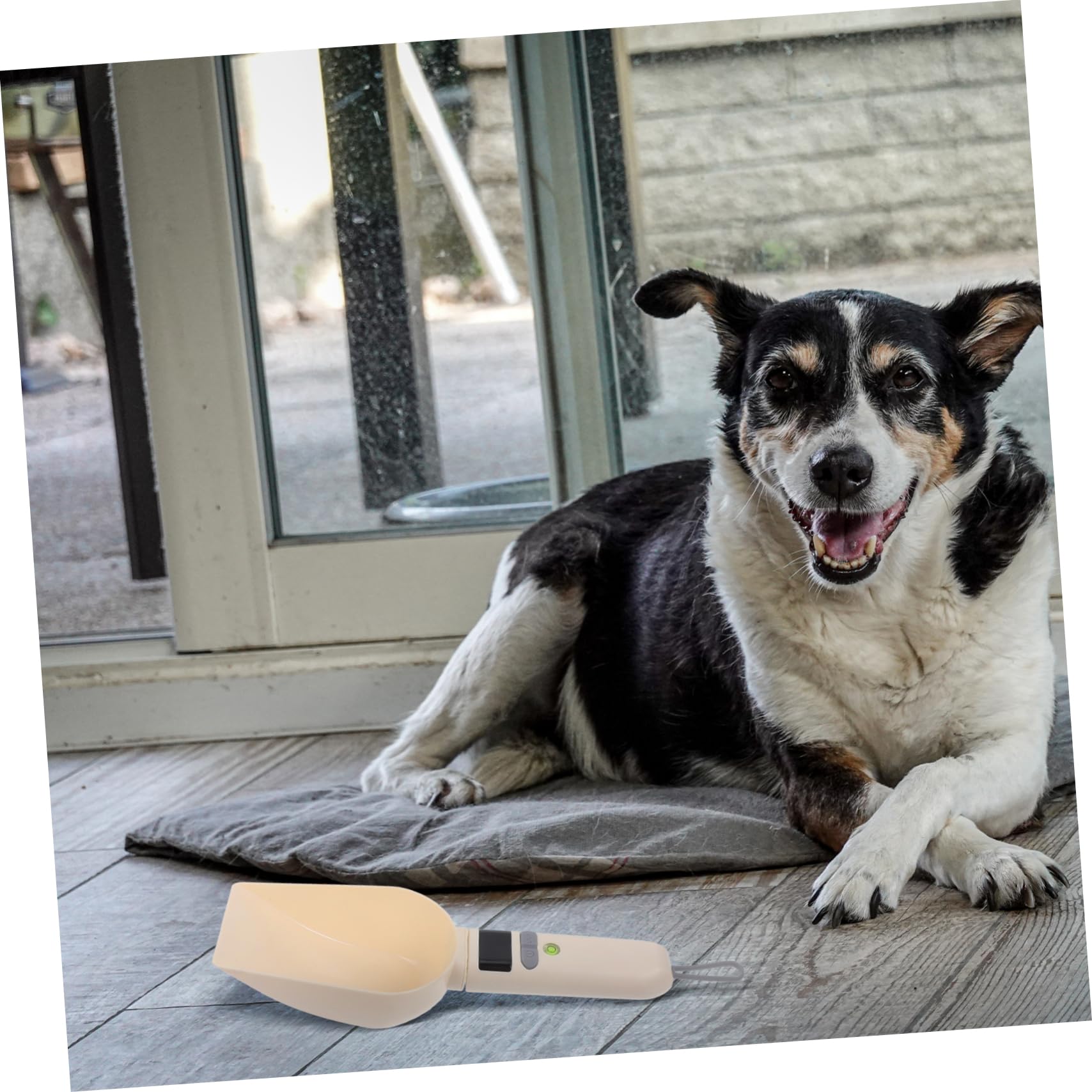 Bilancia Cucchiaio per Alimenti per Animali Domestici Misuratore Elettronico con Display LCD per Controllo Porzioni Precise Strumento Multifunzionale per Cibo