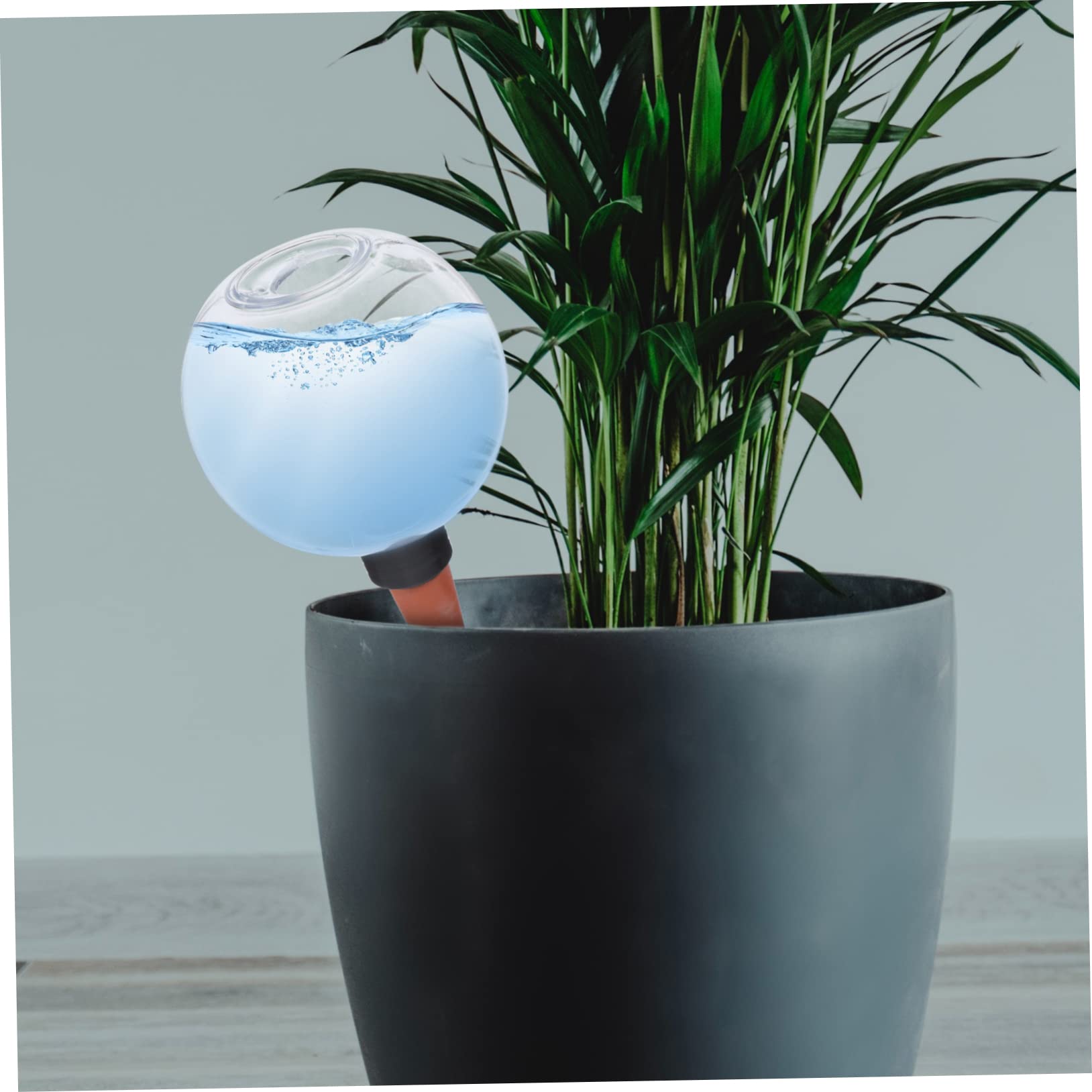 TOYANDONA 5 Piezas Dispositivo de Riego Automático para Plantas Sistema de Riego Interior Macetas Control de Volumen de Agua Diseño y Reutilizable