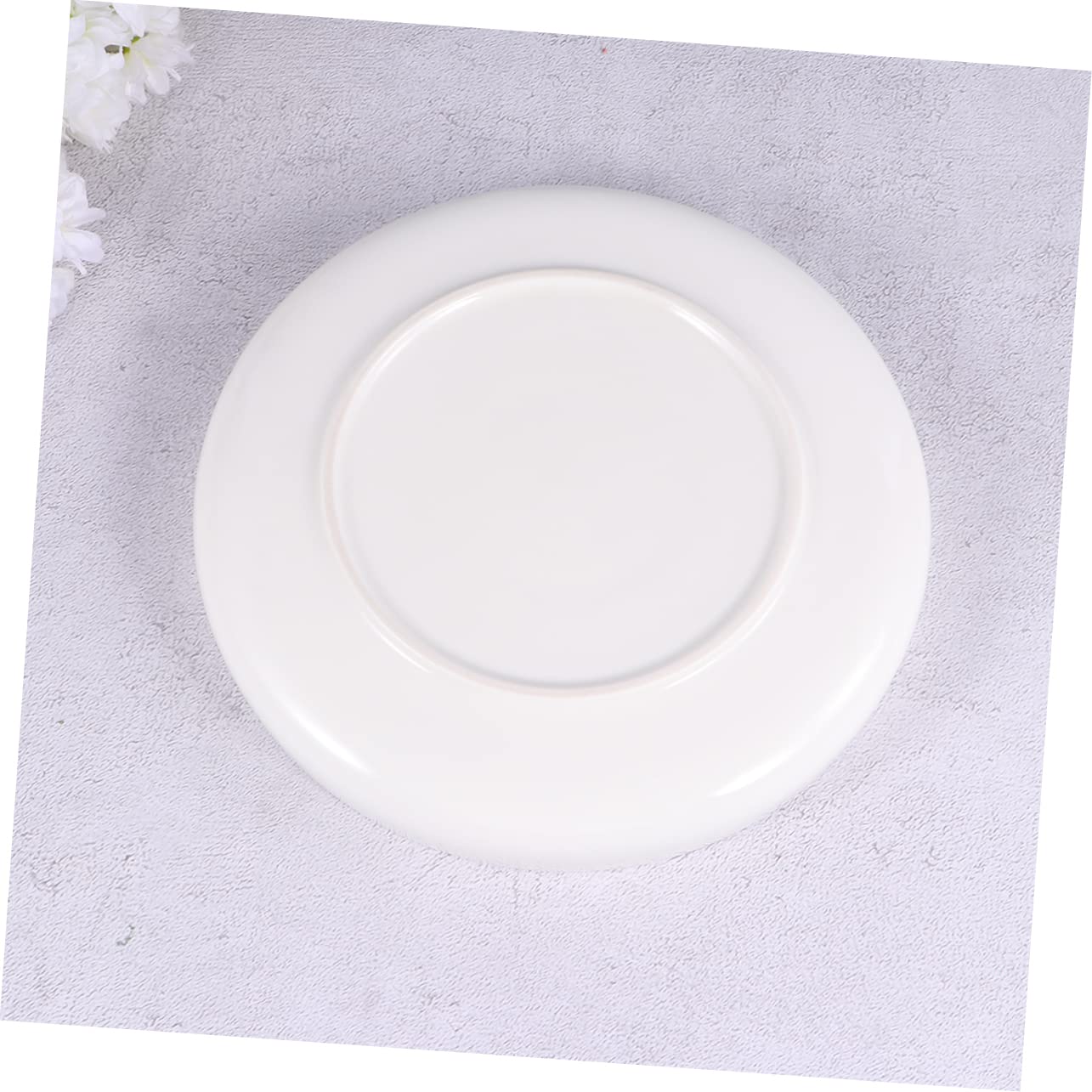 Milisten Ciotola per Rettili in Ceramica Bianca Leggera e Affidabile, Vaso Basso Adatto per Lucertole e Rane, per Mangiatoia per Tartarughe