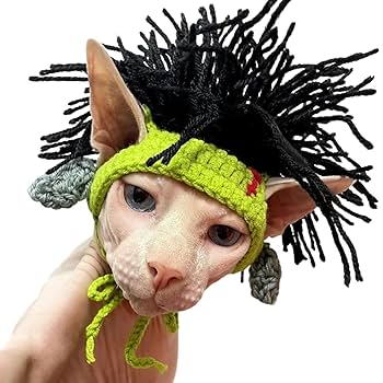 Amazon.com : PUMEXFE Cat Knitted Hat with Dreadlocks Hip-hop