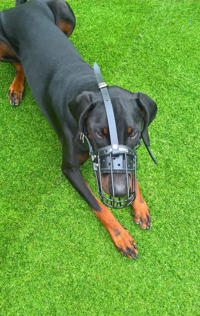 L&J Pets Uk Bozal de perro de cesta de alambre de metal fuerte para Doberman, Malinois y otros perros