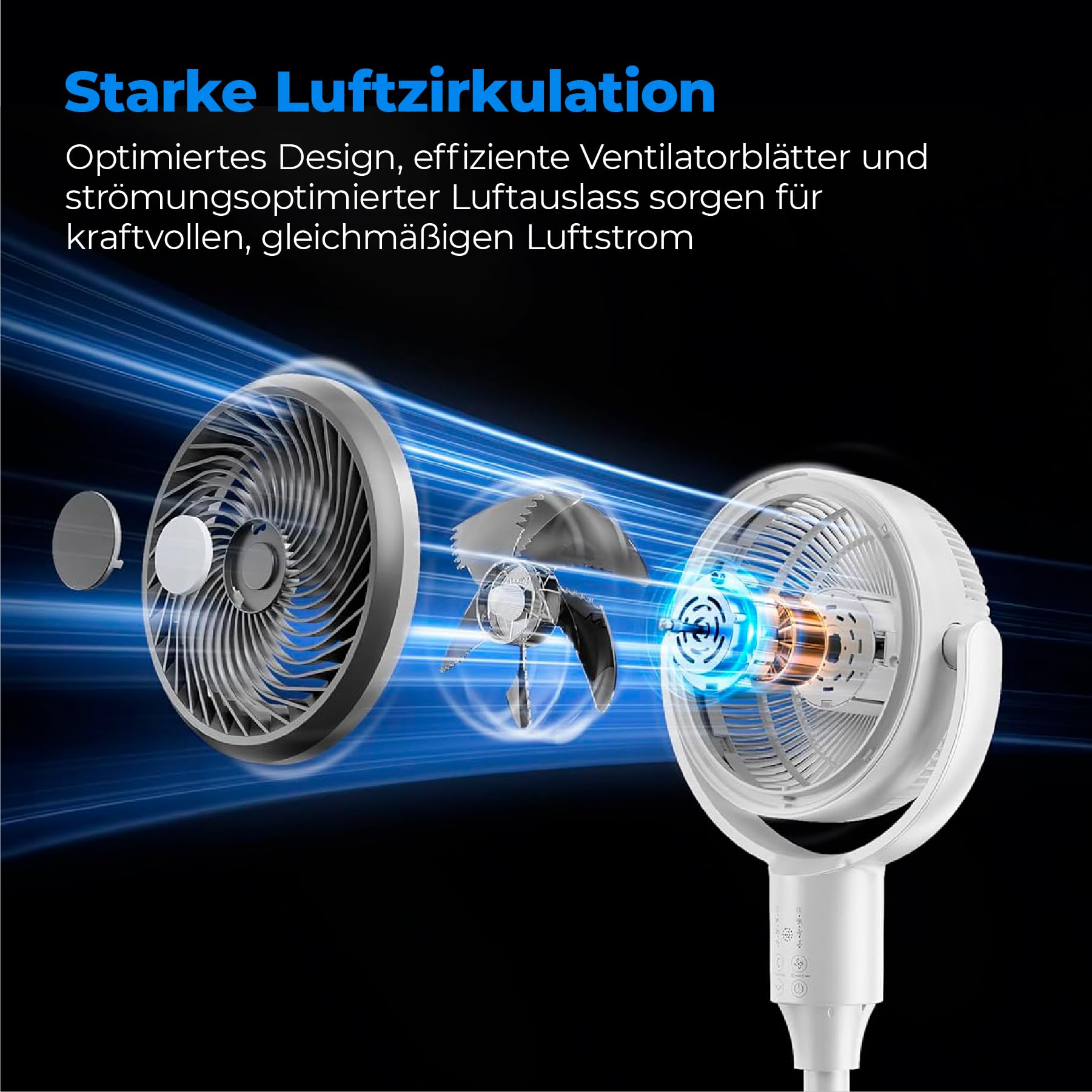 aeco AirX Duo 2in1 Tischventilator & Standventilator mit Fernbedienung | 61-118 cm Höhe | 135° + 85° Omni-Oszillierend | 4 Geschwindigkeit & 6H Timer | Leiser Fan für Schlafzimmer Büro Wohnzimmer