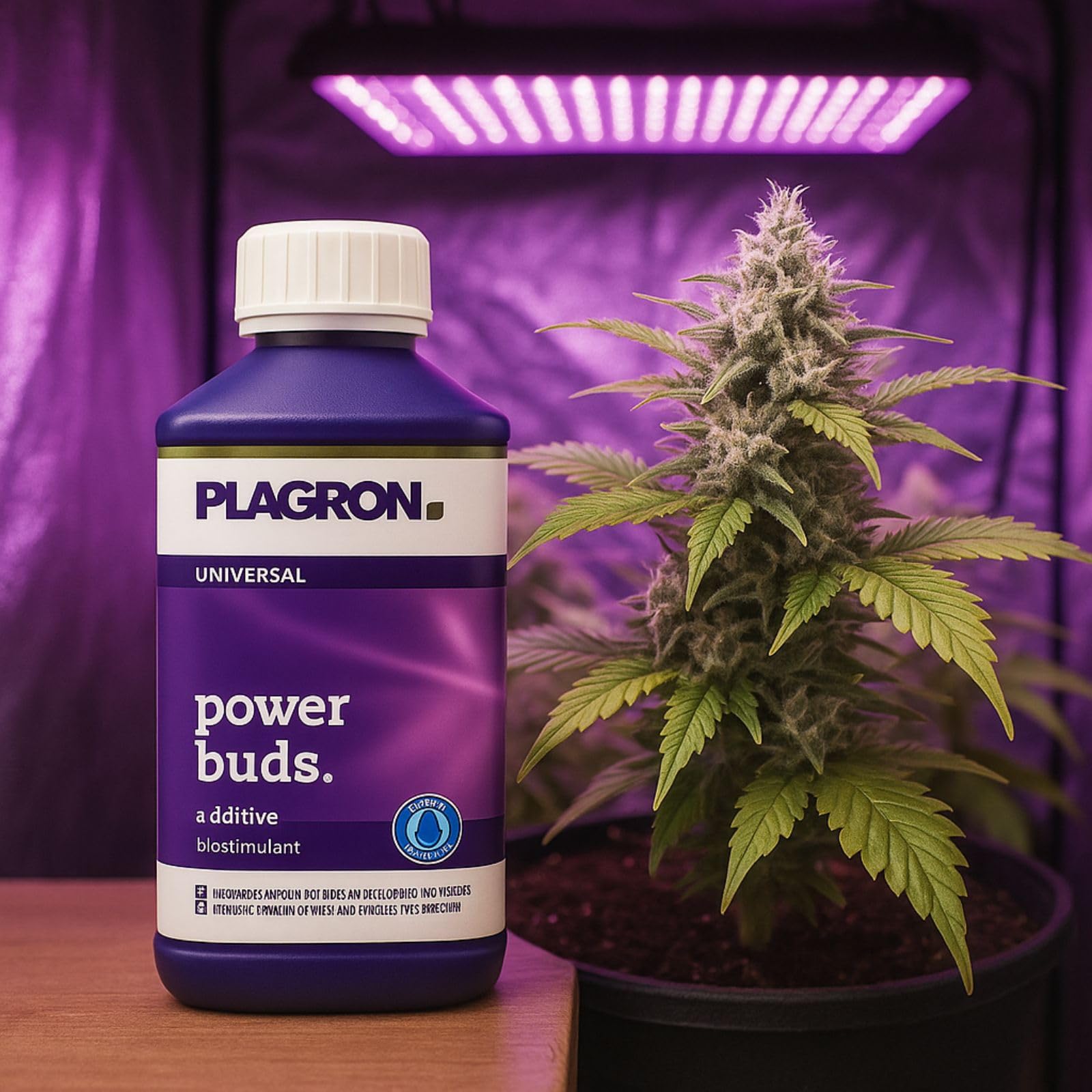 Weedness Plagron Power Buds 1 Liter - ph-senker Dünger Pflanzen Grow Anbau Indoor Down Granulat Tomaten Rasen Orchideen