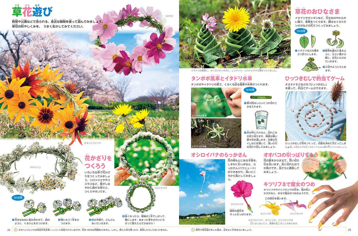 小学館の図鑑neo 新版 植物 Dvdつき 門田 裕一 門田 裕一 畑中 喜秋 和田浩志 岡田 比呂実 松岡 真澄 斎藤 光一 配送料無料