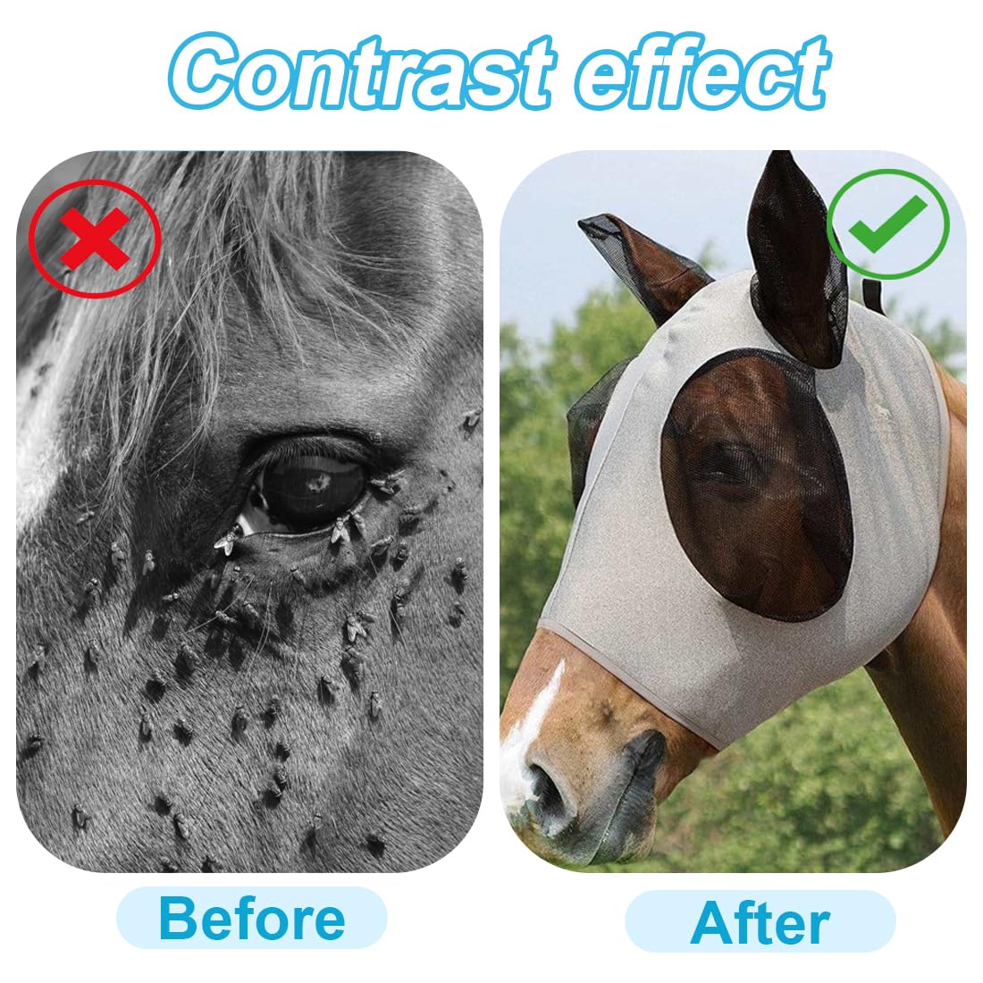 EIHI Maschera antimosche cavallo, Coperta rete antimosche per cavalli