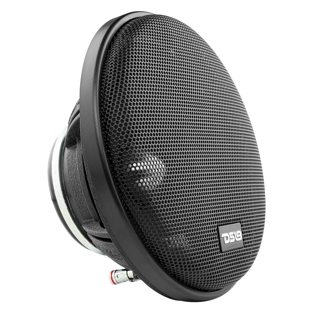 Amazon.com: DS18 PRO-FR6NEO Loudspeaker- 6.5