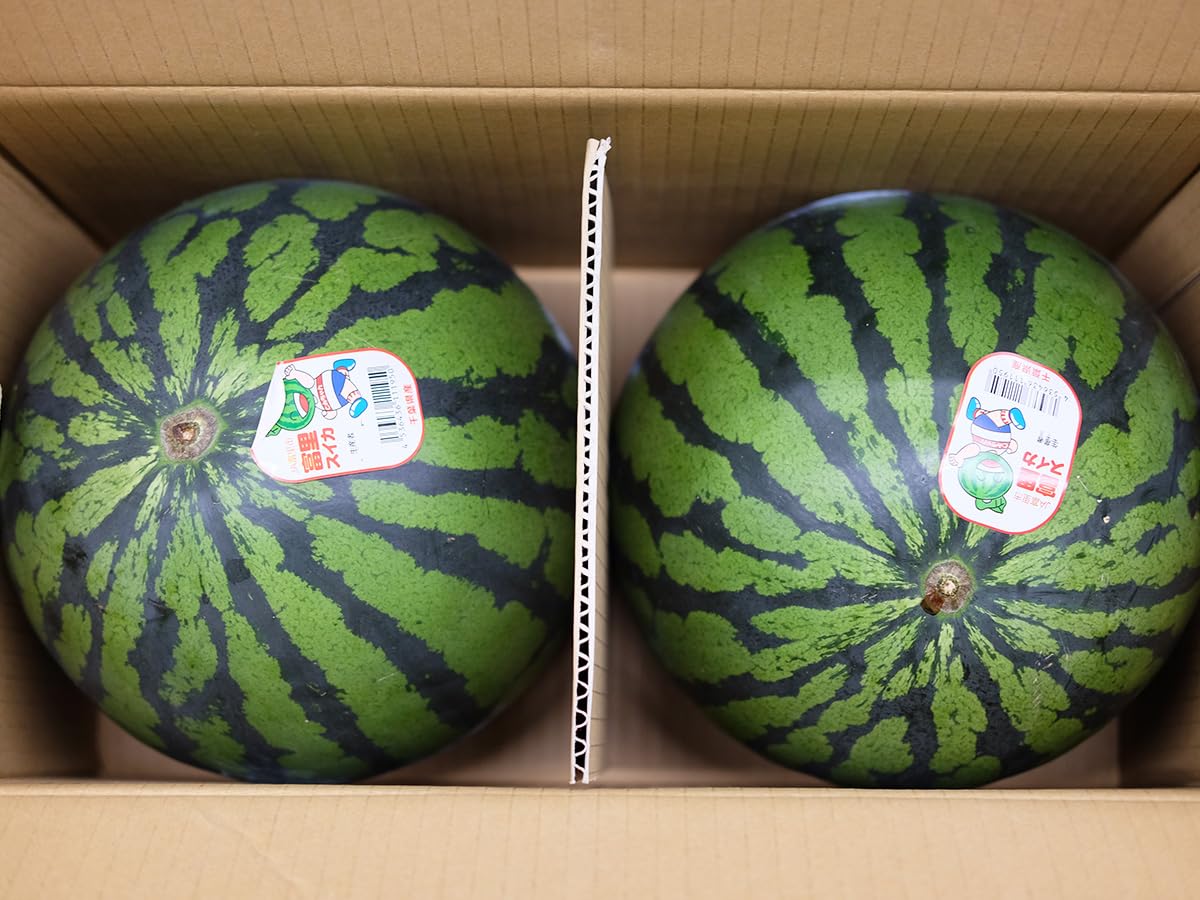 Amazon.co.jp: 千葉県産 富里すいか A等級 MAサイズ 2玉入り （約5