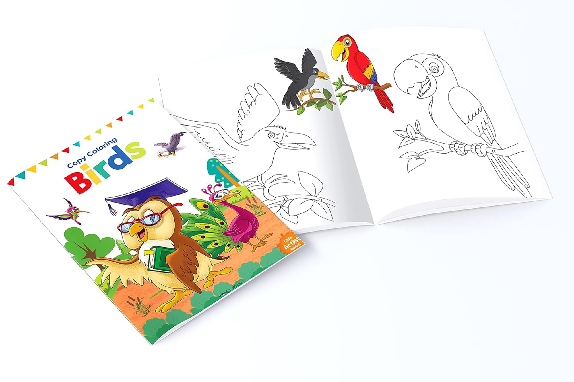 Little Artist Copy Colouring Books: Set of 8 (Birds, Sea Animals, Fruits, Animals, Vegetables, Dinosaurs, Cars and People Around Us) 2