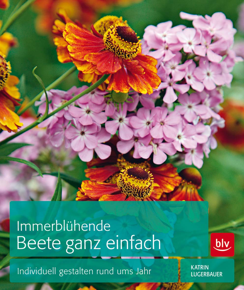 Immerblühende Beete ganz einfach: Individuell gestalten rund ums Jahr