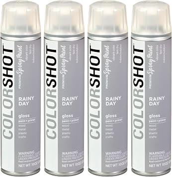 COLORSHOT Gloss Spray Paint, Rainy Day Gray 10 oz. 4 Pack, Fast-Drying Acrylic Paint, Indoor & Outdoor Use