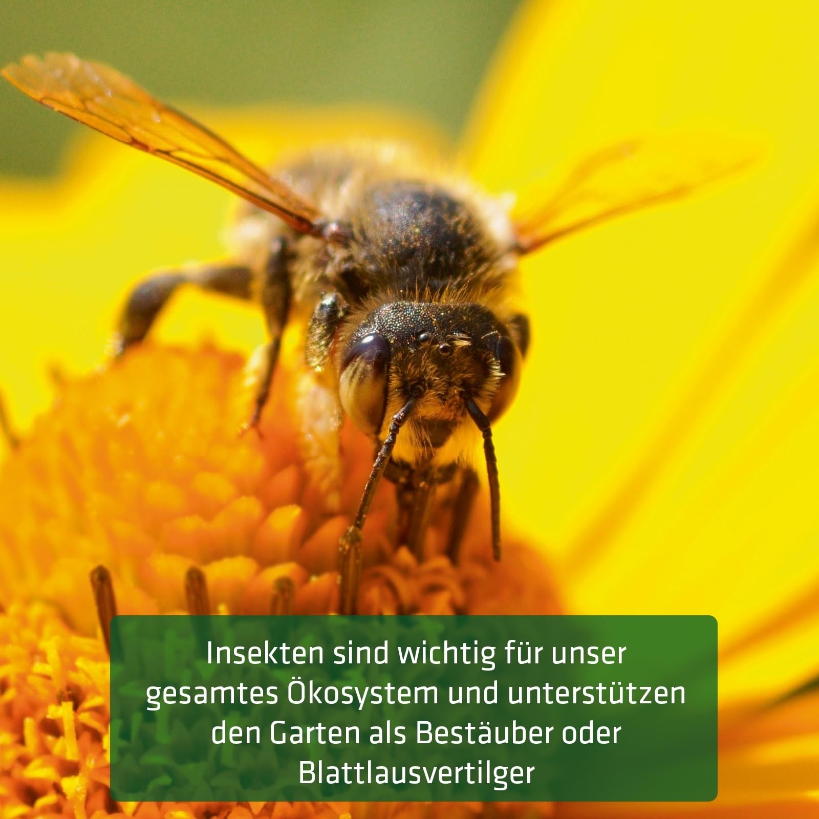 GARDIGO® Set di Costruzione Hotel Insetti Fai da Te | Casetta da Costruire | Made in Germany | Legno di Abete Rosso | Base e Materiali di Riempimento | Costruzione Bug Hotel