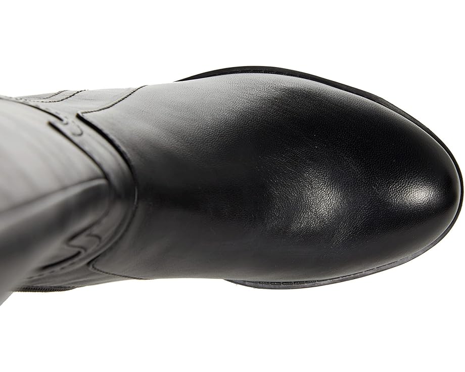 David Tate Lasso - Top View