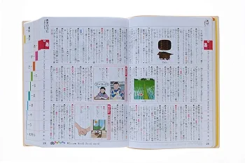世界子ども学大事典 新レインボー小学国語辞典 改訂第6版 ワイド版（オールカラー