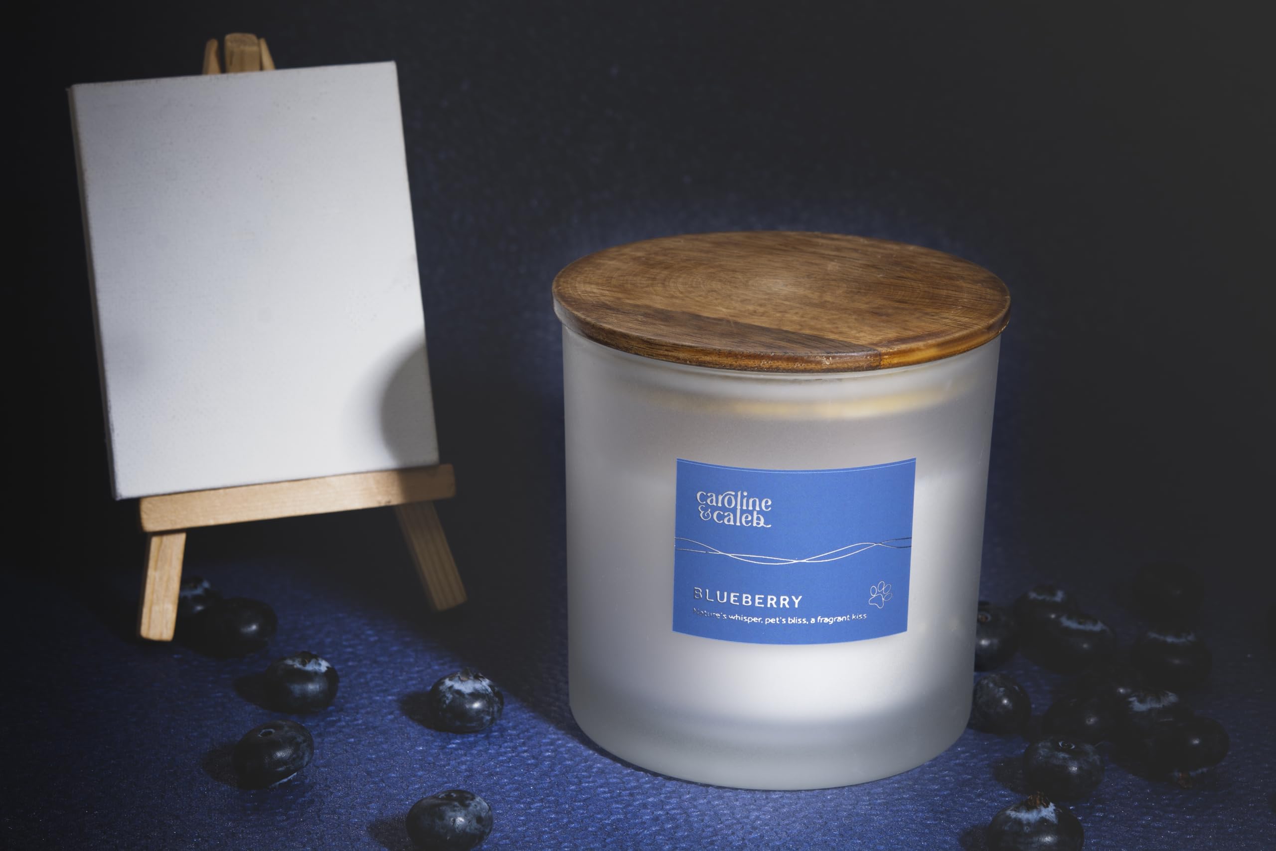 Pet Odour Eliminator | Blueberry Scented Candle by Caroline and Caleb | Non Toxic | Long Lasting 30 Days | 100% Vegan Soy Wax | Pet Odour Remover for Dogs and Cats | Gifting 2