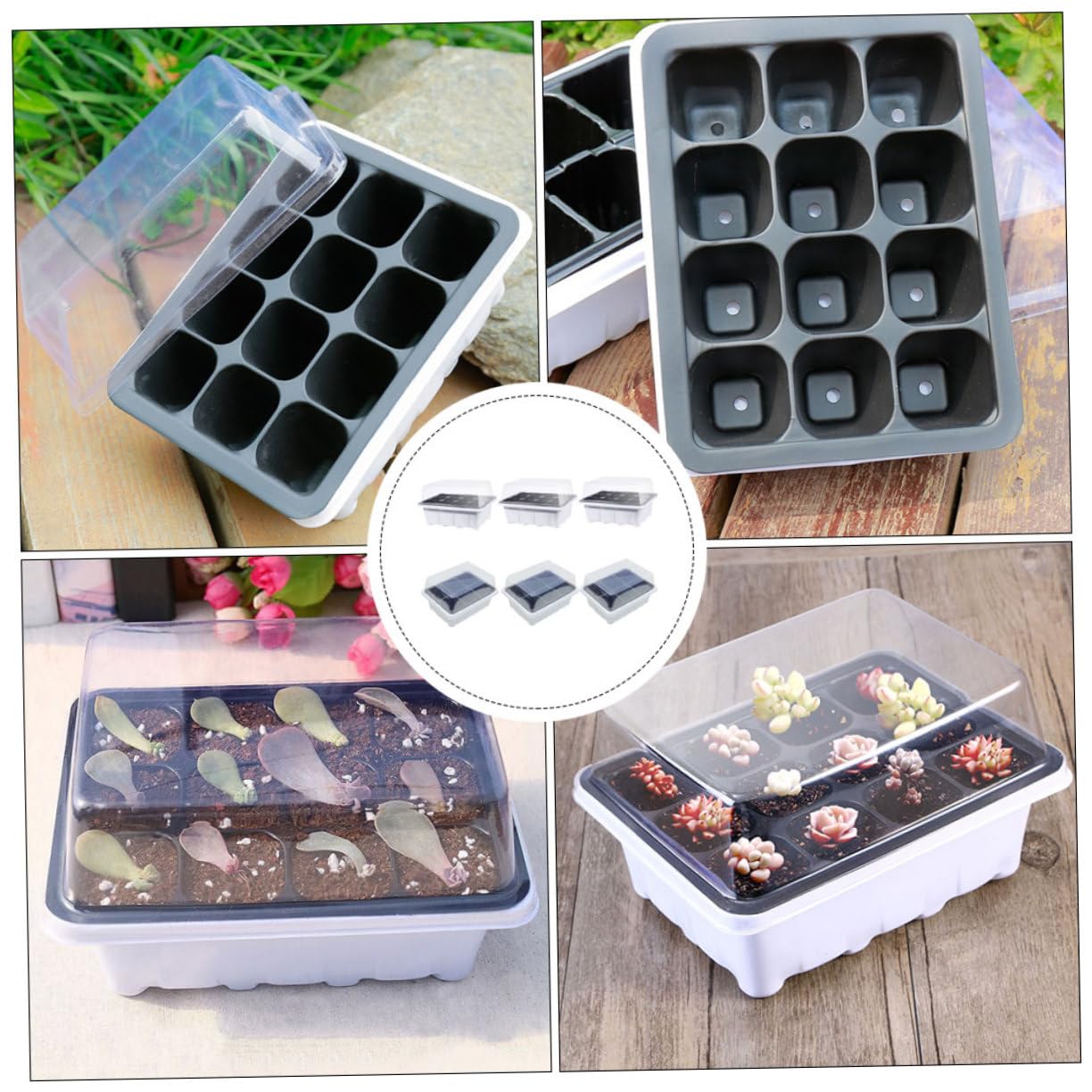 Hemobllo 12pezzi Vassoi per Germinazione Piante per Avviamento Piante e Coltivazione Serra Leggeri e Facili da Usare Perfetti per Verdure e Succulente