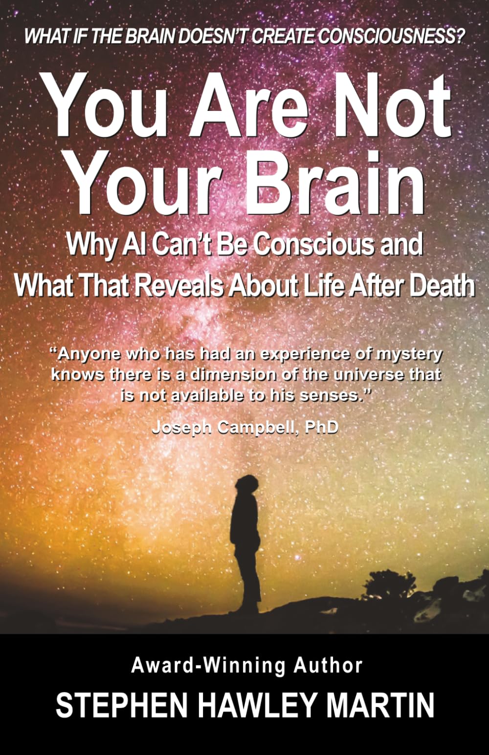 You Are Not Your Brain: Why AI Can’t Be Conscious and What That Means for Life After Death