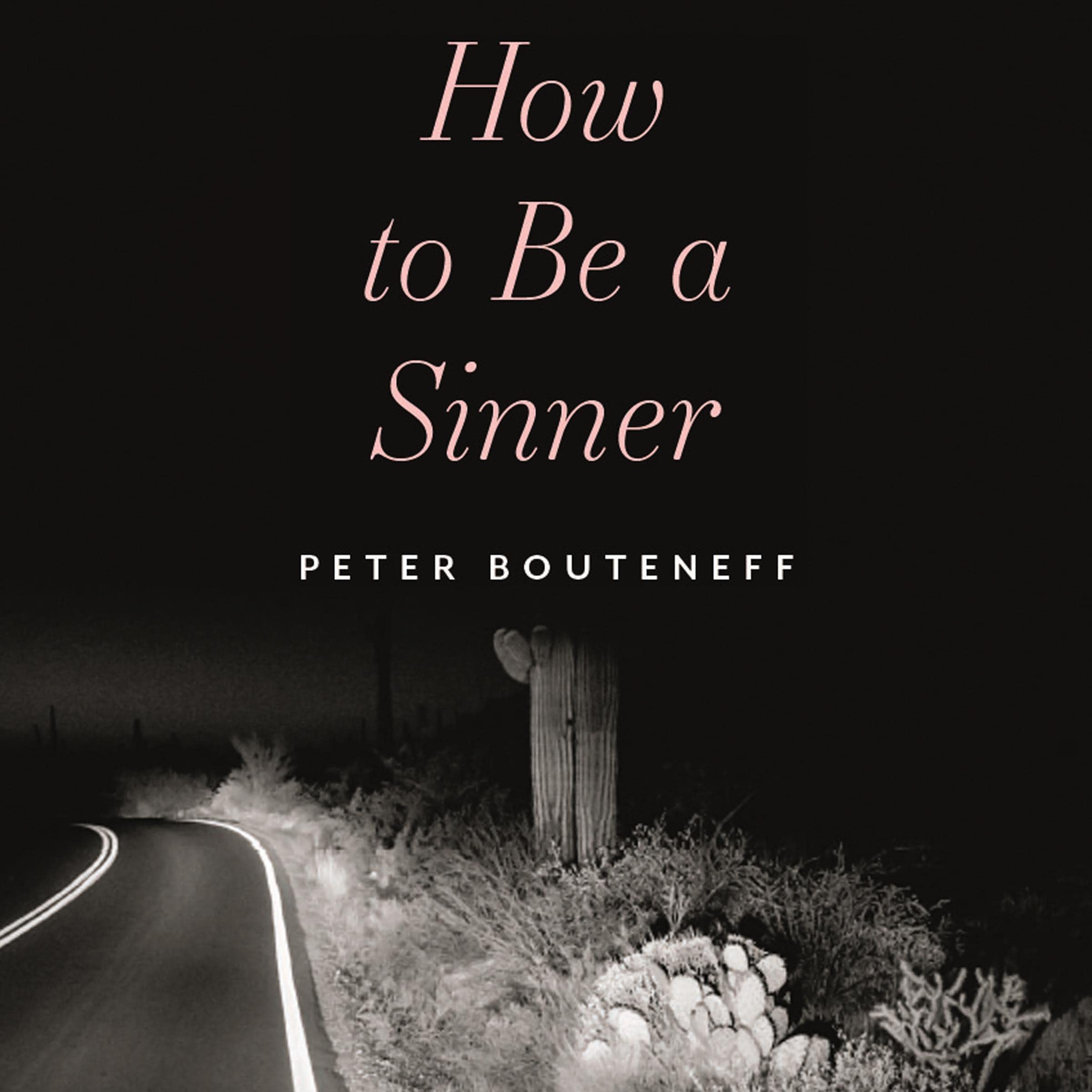 Cover art for How to Be a Sinner