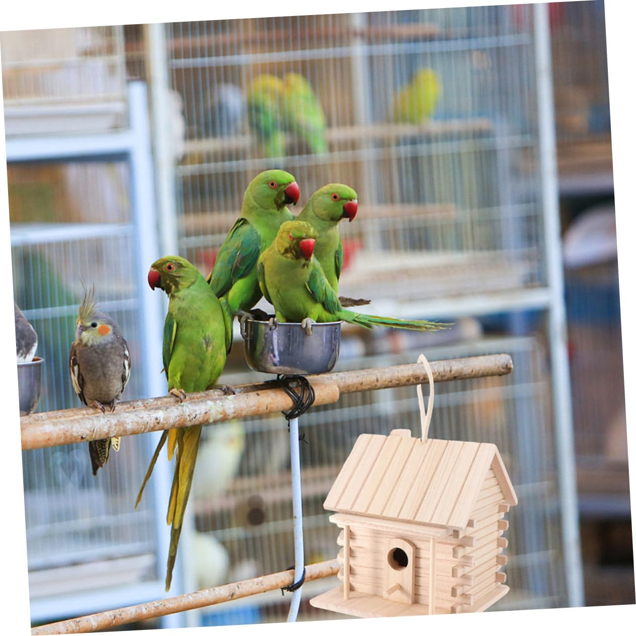 COLLBATH Nid d'Oiseau en Suspendu Maison pour Oiseaux Accessoire d'Extérieur Cabane à Oiseaux Nid pour Canari Perroquet Alouette 2 Pièces