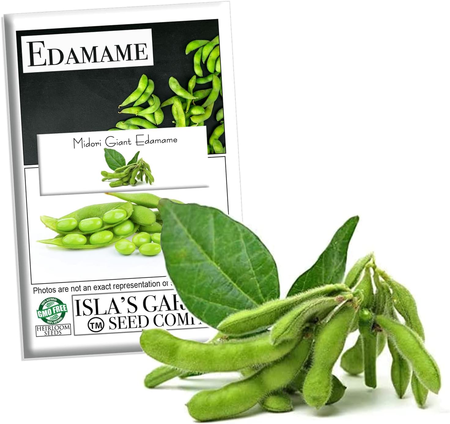 Midori Giant Edamame Seeds for Planting, 25+ Heirloom