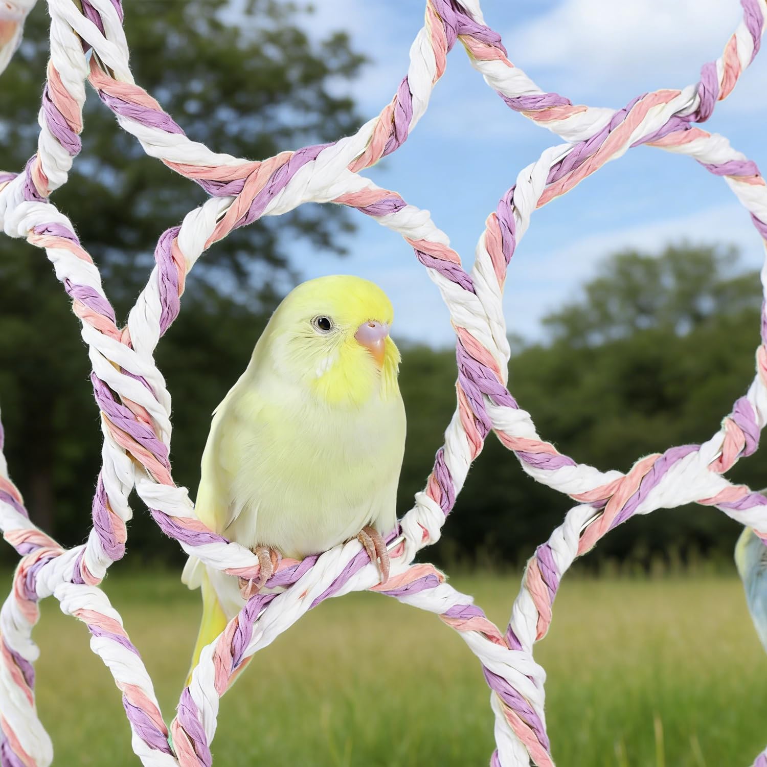 2 pezzi rete da arrampicata per ratti di pappagallo, ponte in ratto di carta, rete per piccoli animali, giocattolo da arrampicata per piccoli animali, gabbie di uccelli, roditori, rettili