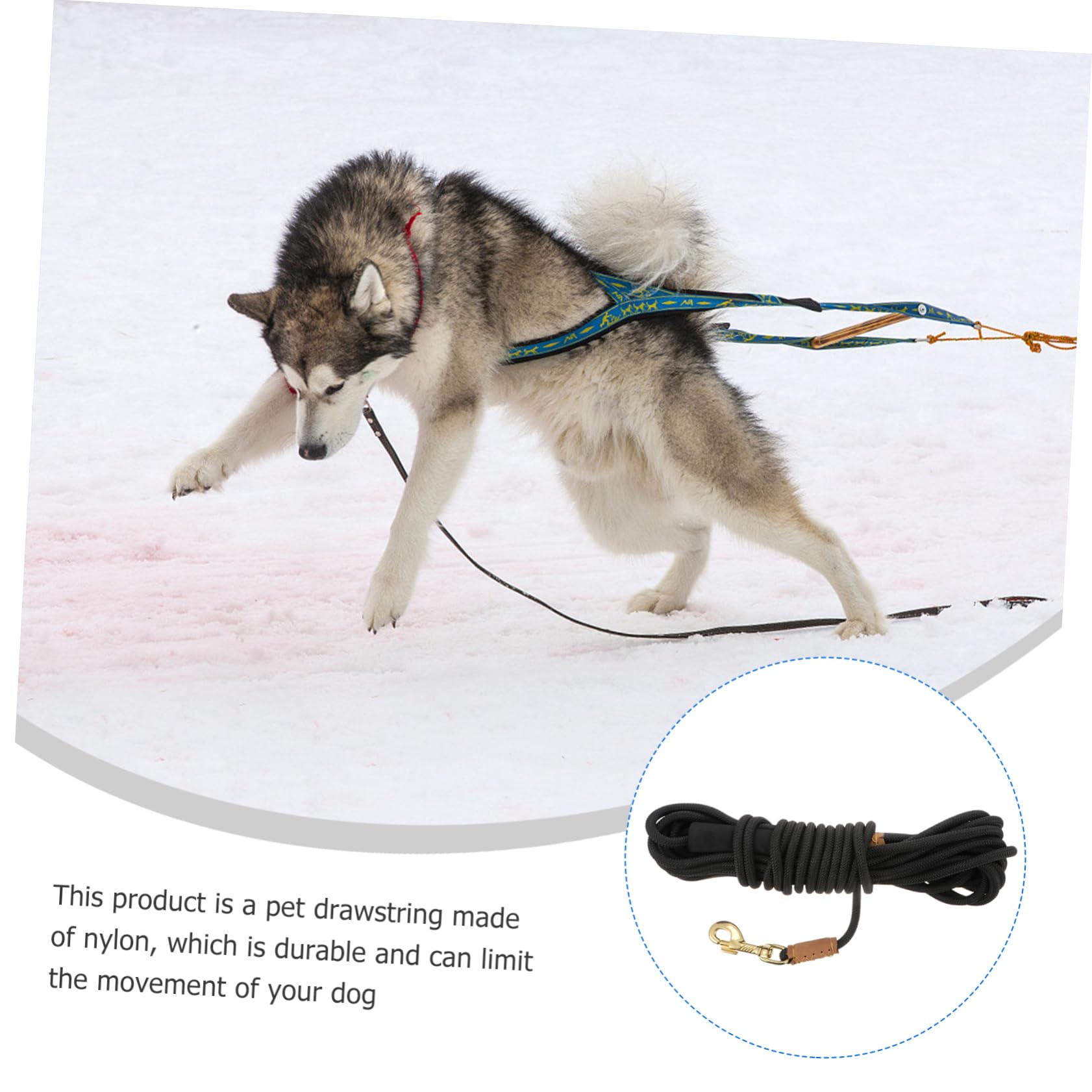 Laisse de Traction pour Chien Mètres Laisse Durable et Confortable pour Promenade et Entraînement des Animaux de Compagnie pour Chiens de Moyenne à Couleur Noire