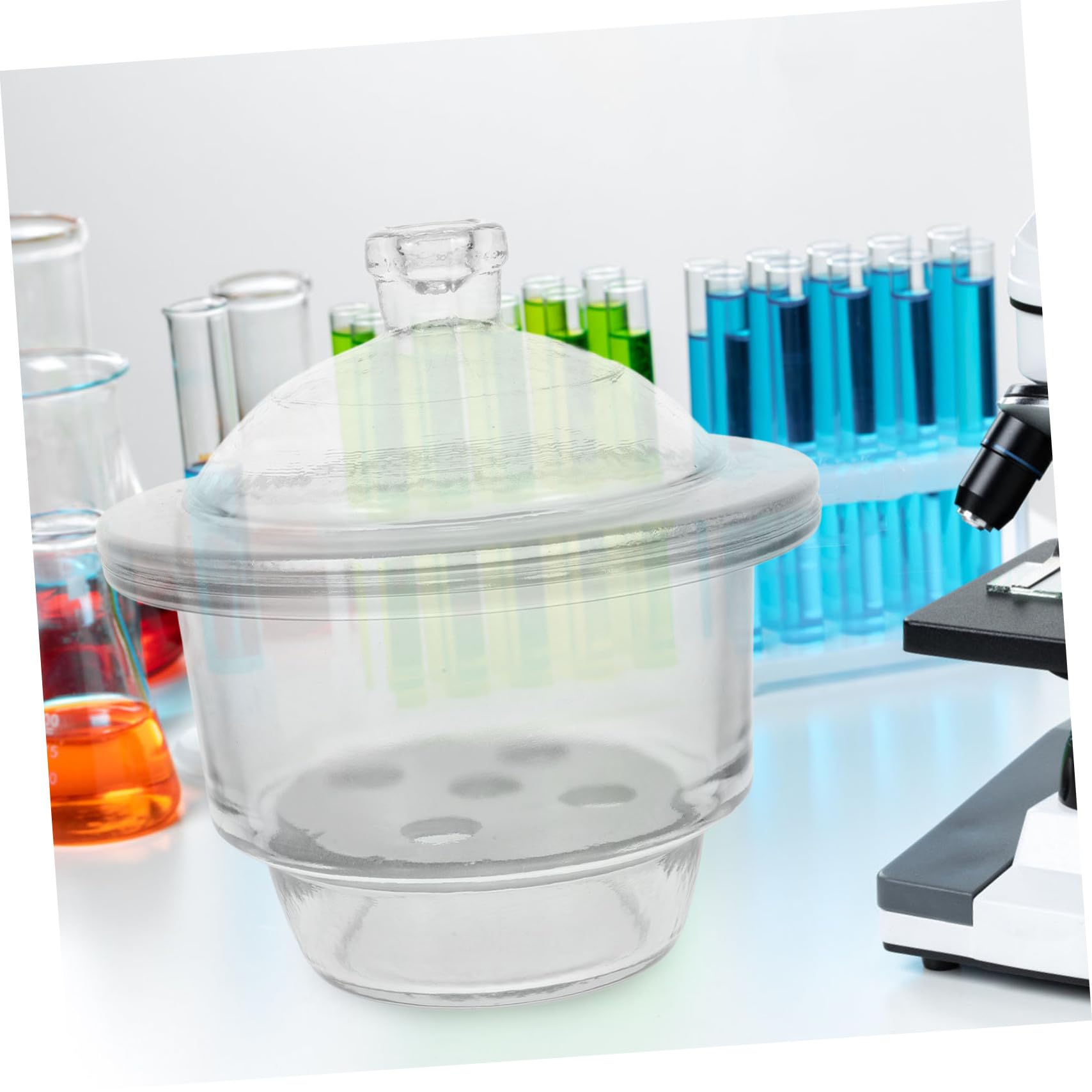 Essiccatore in Vetro per Esperimenti e Insegnamento da Laboratorio