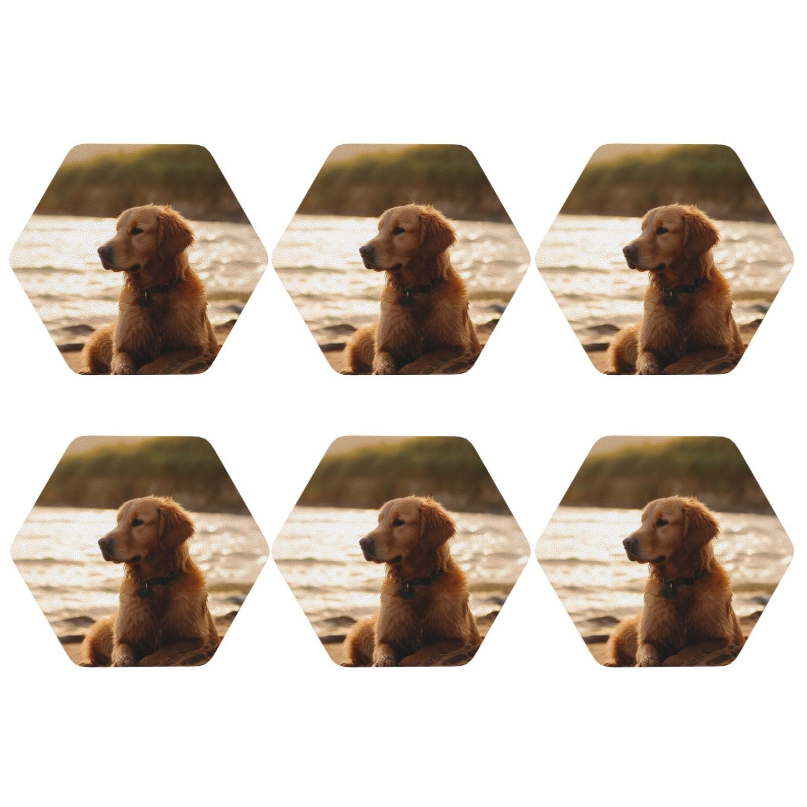 6pcs Leather Coasters for Drinks, Retriever Drink Coasters for Tabletop Protection, 4" Cup Coasters for Coffee Table Decor, Non-Slip Drinking Cup Mat for Hot Or Cold Drink